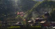 河南旅游文化：青龍山慈云寺第四屆桃花祈福文化節(jié)即將盛大開(kāi)幕！