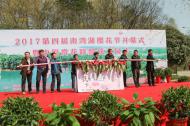 河南旅游市場運營：第四屆南灣湖櫻花節(jié)開幕了！