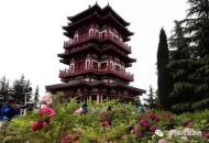 河南旅游策劃：真火爆！15萬人涌進(jìn)三門峽天鵝湖濕地公園牡丹園