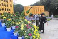 河南旅游市場(chǎng)運(yùn)營(yíng)：”開(kāi)封“千菊進(jìn)萬(wàn)家”活動(dòng)要開(kāi)始了，今年又有哪些新內(nèi)容？